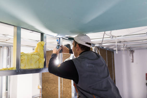 Best Cellulose Insulation in Shelby, MI