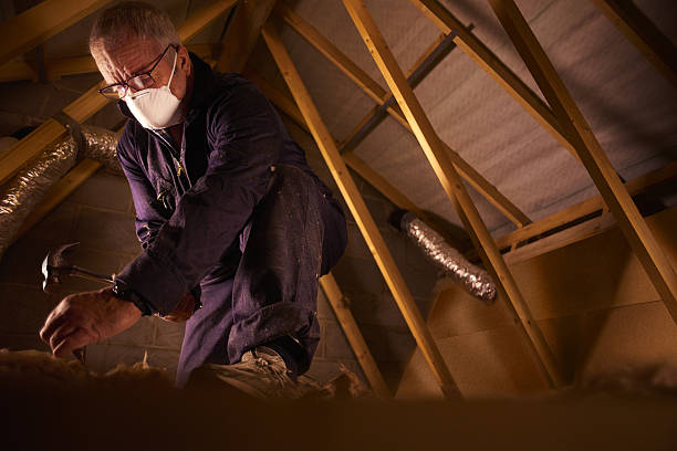Best Insulation Maintenance and Repair in Shelby, MI