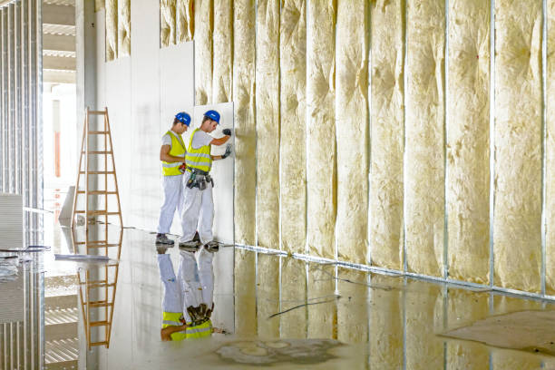 Types of Insulation We Offer in Shelby, MI